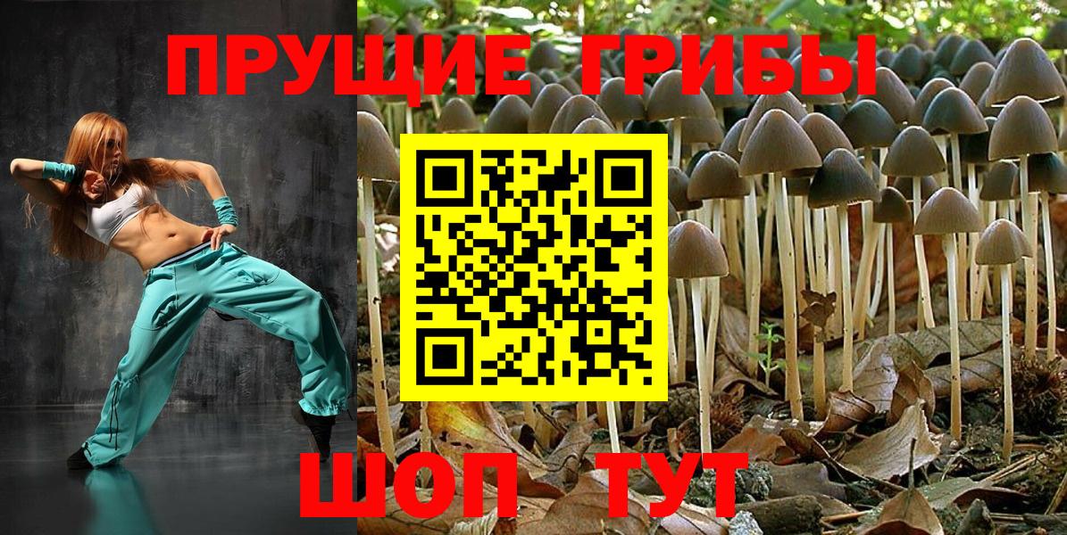 Галлюциногенные грибы Psilocybe  Вход с VPN  Азов  Псилоцибиновые грибы Psilocybe 